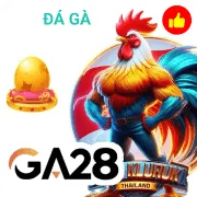 33win68 Game 06